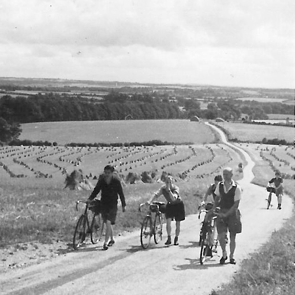 Near Alresford, Hants