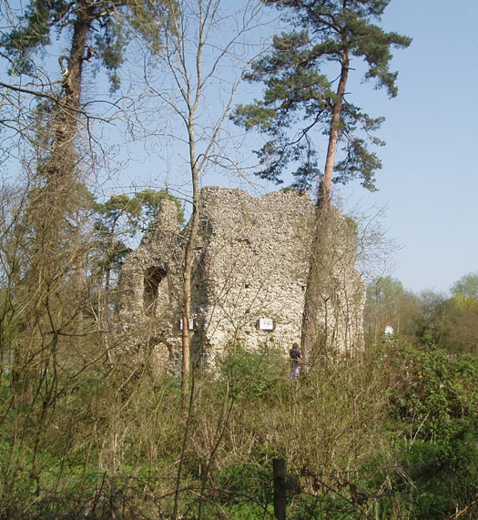 Odiham Castle photo #1