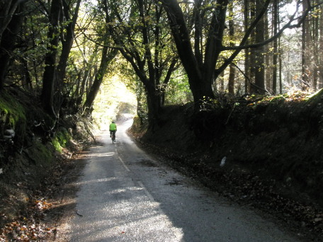 Sunny Lane nr Coldharbour
